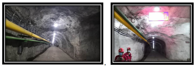 腾博汇游戏官网·(中国)专业效劳,诚信为本